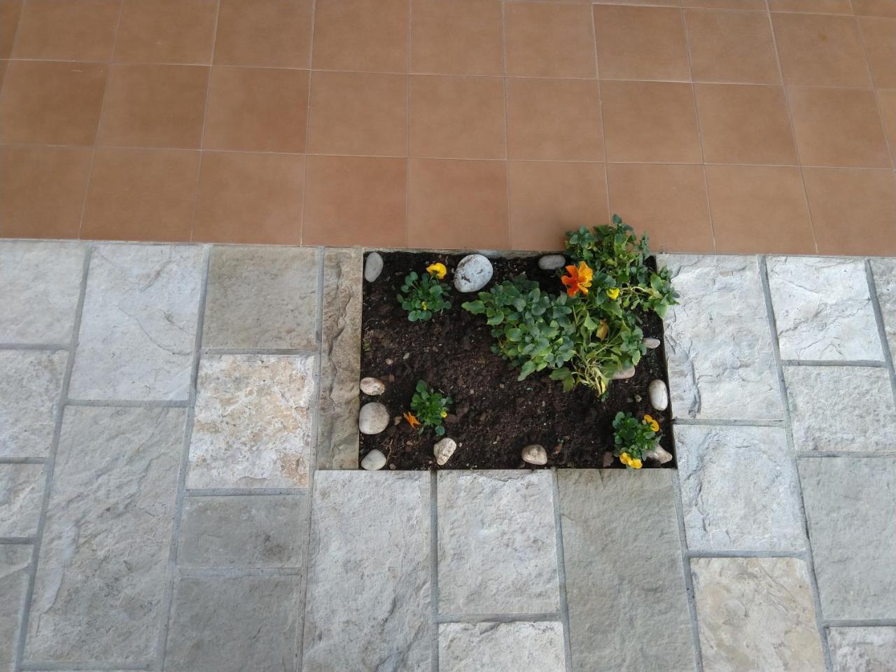 Studio Apartments 6 Palmi Budva Exterior photo